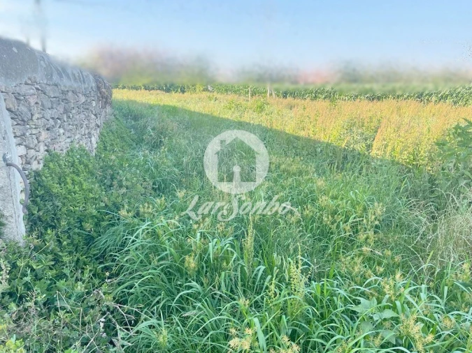 Terreno Agricola ou Rústico para Venda em Rates Foto 2