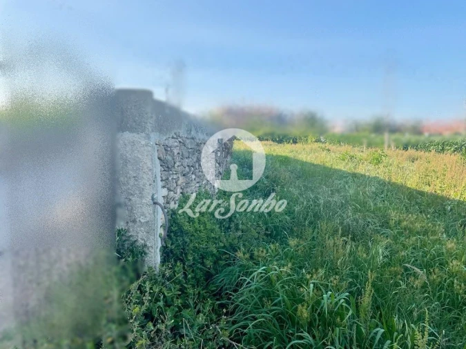 Terreno Agricola ou Rústico para Venda em Rates Foto 3