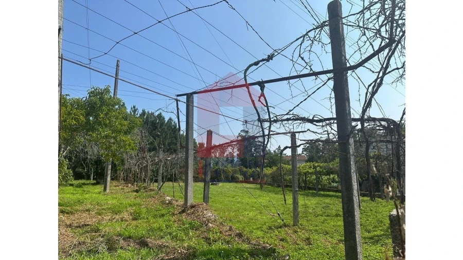 Terreno para Venda em Gême Foto 4