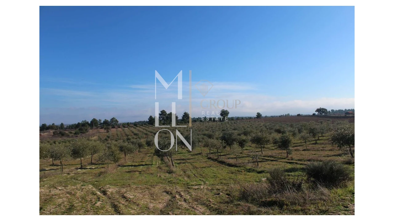 Moradia T5 para Venda em Barreira Foto 74