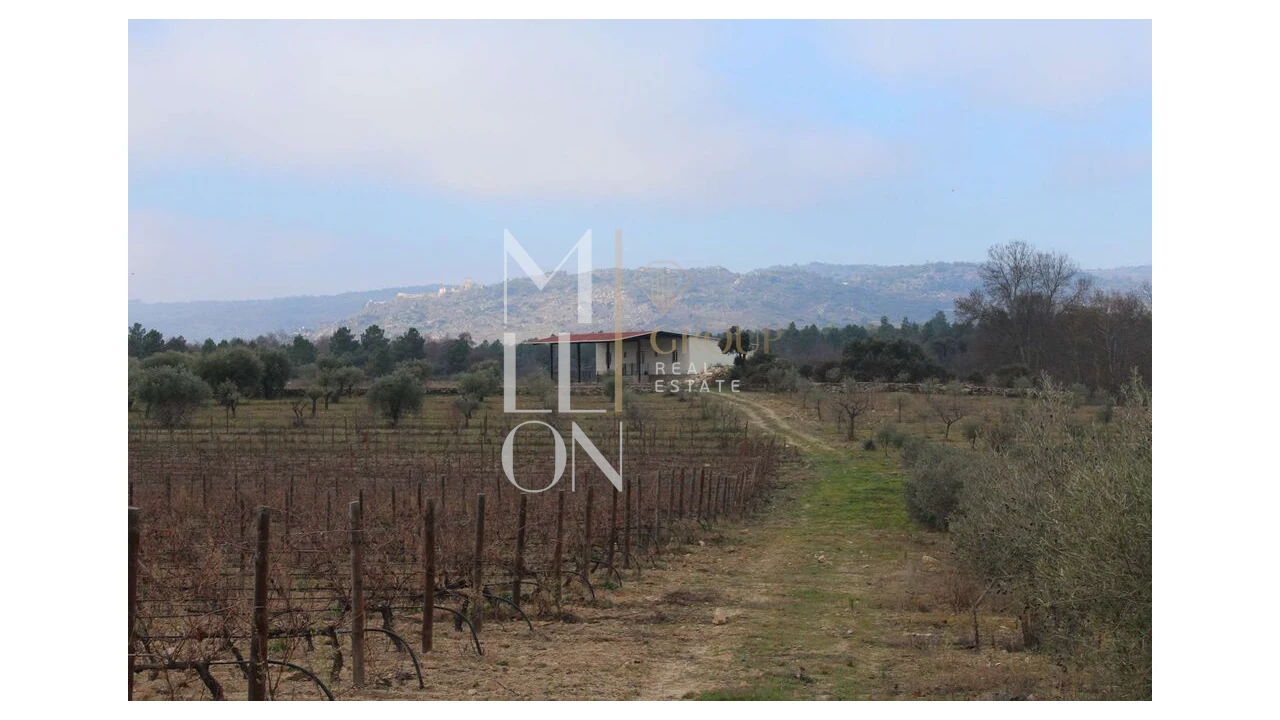 Moradia T5 para Venda em Barreira Foto 13