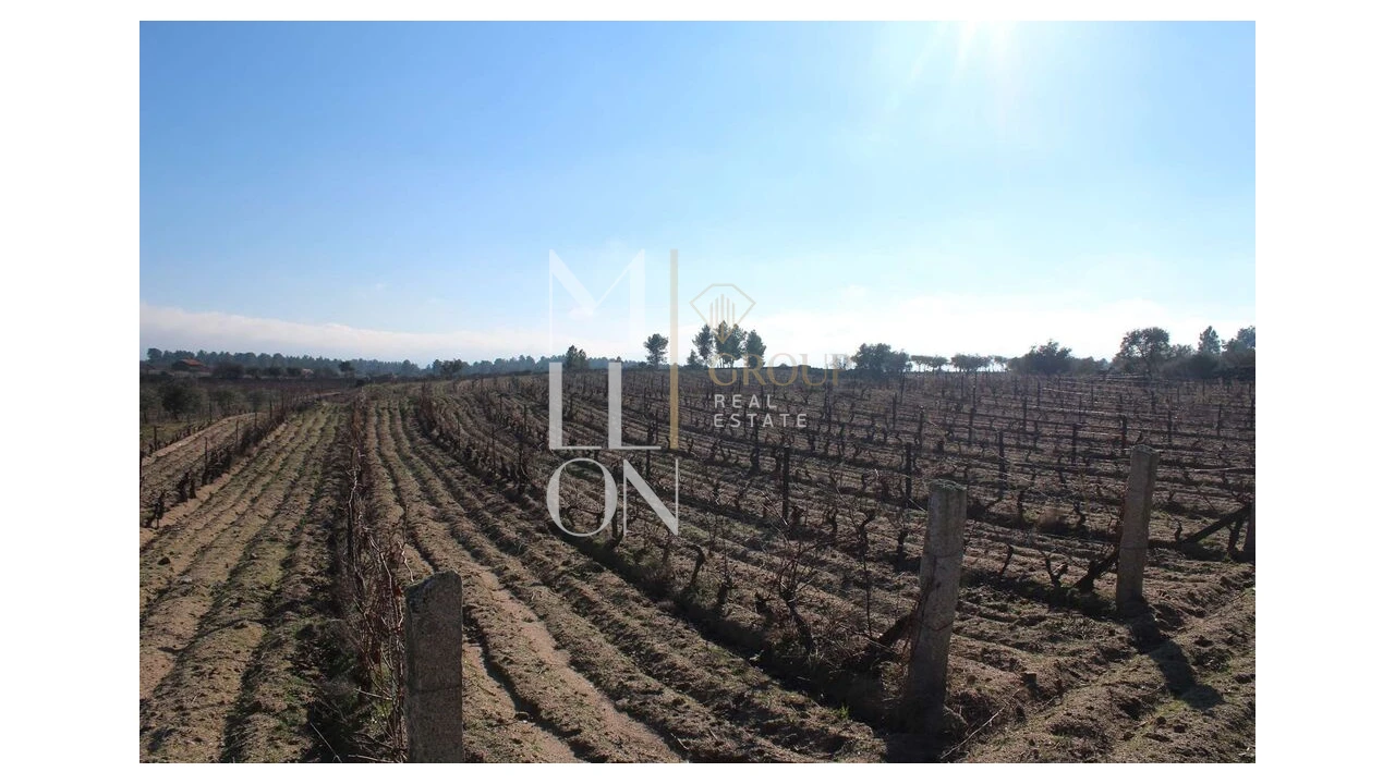 Moradia T5 para Venda em Barreira Foto 75