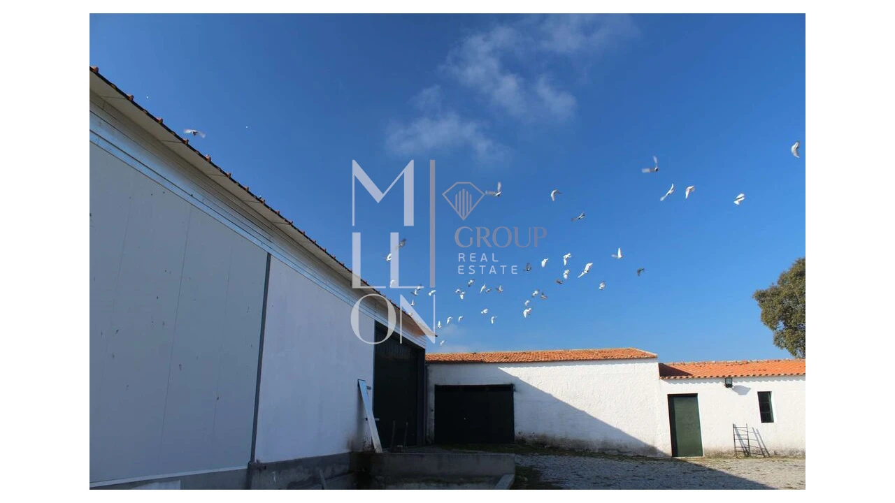 Moradia T5 para Venda em Barreira Foto 43