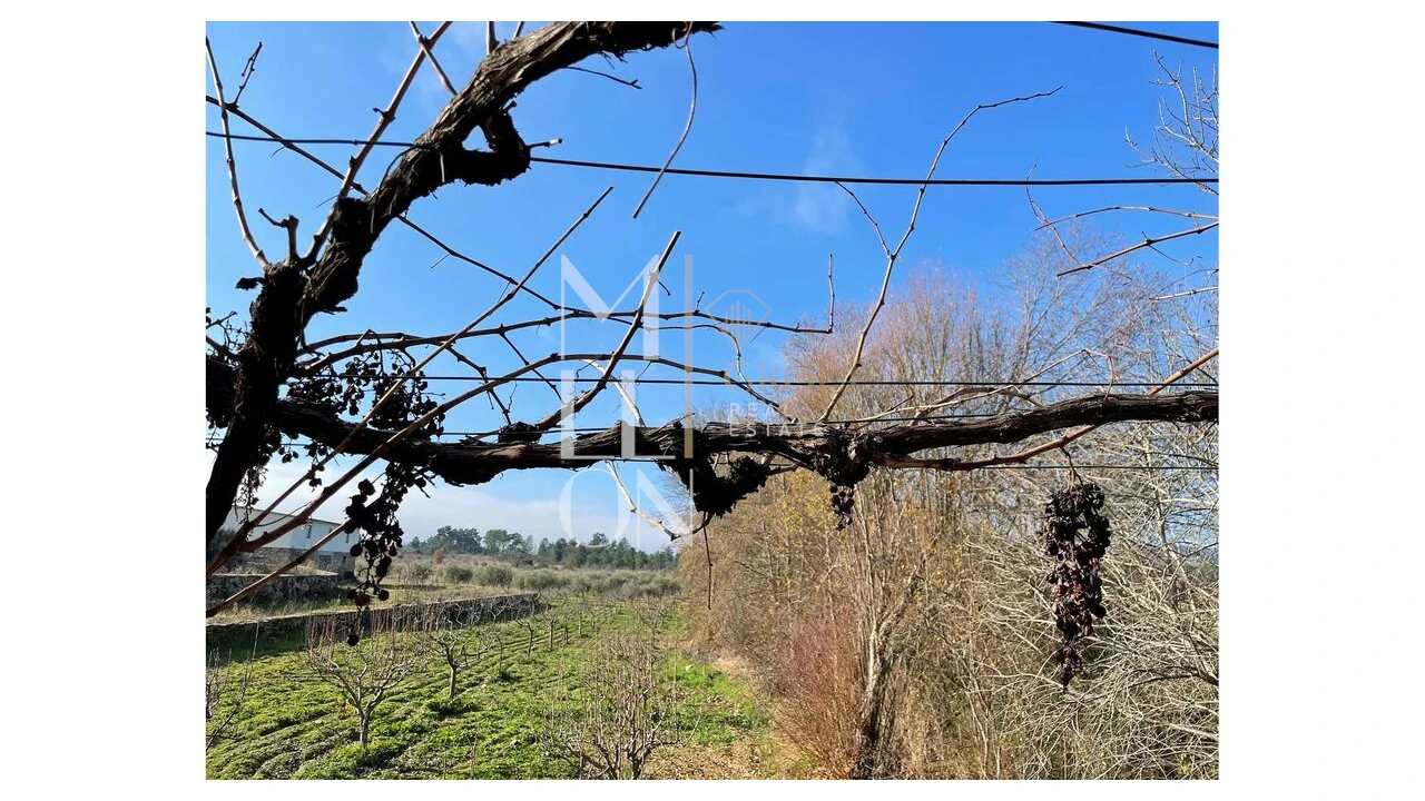 Moradia T5 para Venda em Barreira Foto 16