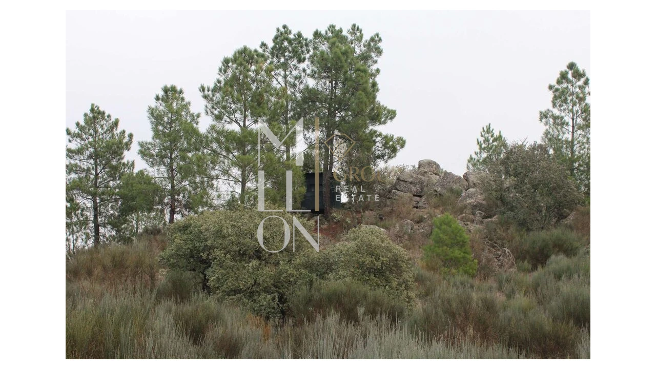 Moradia T5 para Venda em Barreira Foto 19