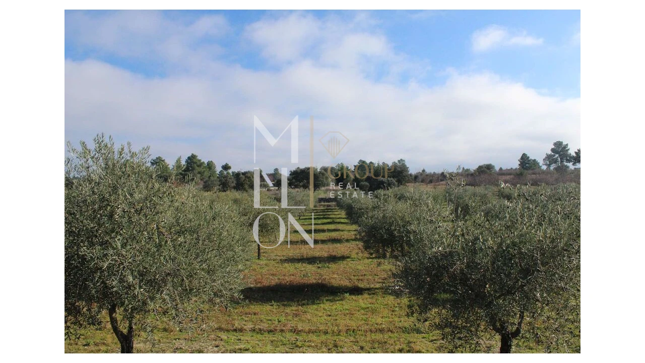 Moradia T5 para Venda em Barreira Foto 53