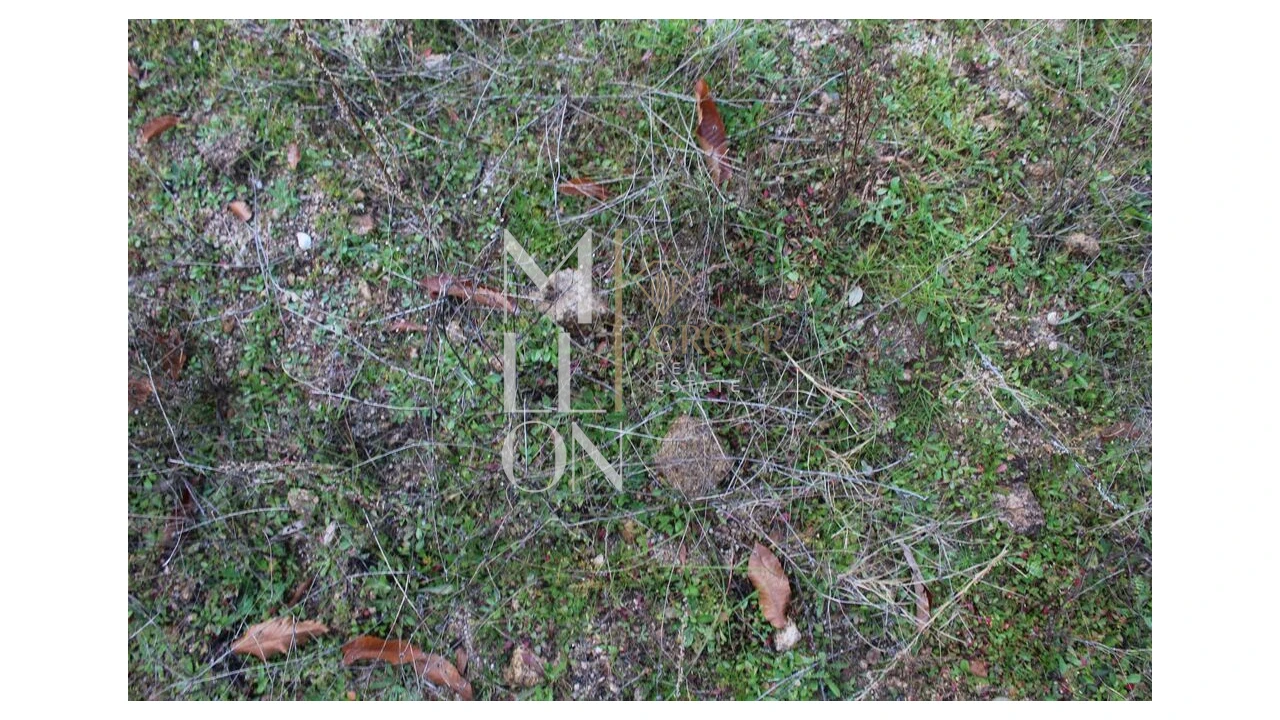 Moradia T5 para Venda em Barreira Foto 30