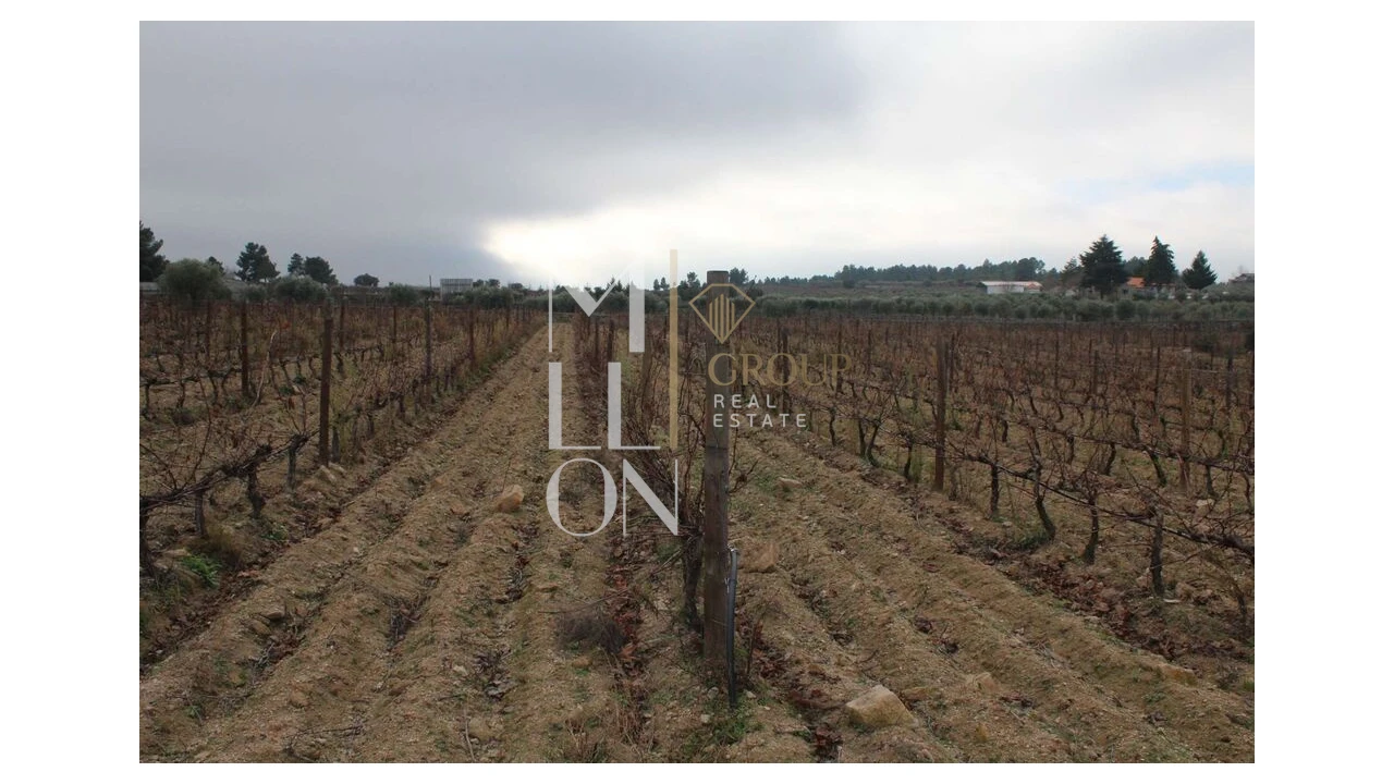 Moradia T5 para Venda em Barreira Foto 20