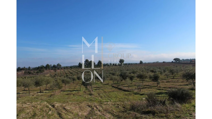 Moradia T5 para Venda em Barreira Foto 74