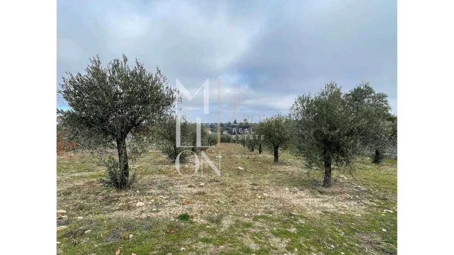 Moradia T5 para Venda em Barreira Foto 12