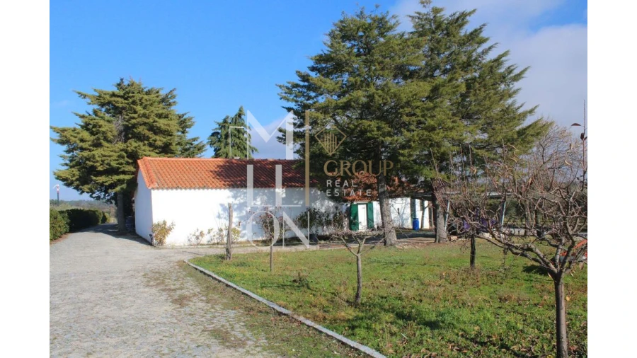 Moradia T5 para Venda em Barreira Foto 45