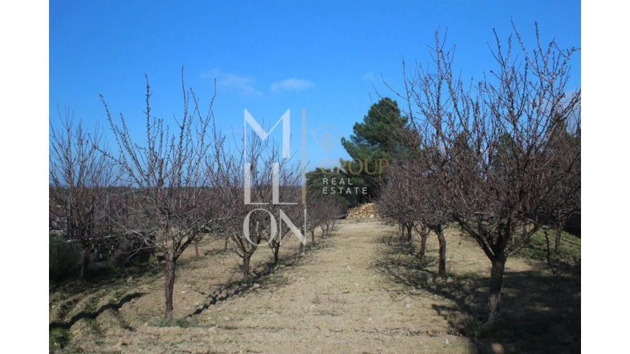 Moradia T5 para Venda em Barreira Foto 65