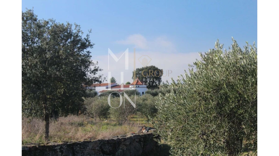 Moradia T5 para Venda em Barreira Foto 69