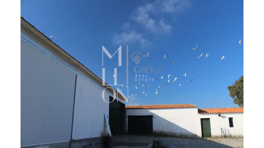 Moradia T5 para Venda em Barreira Foto 43