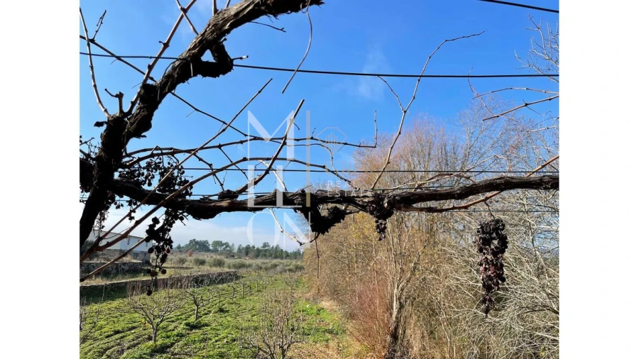 Moradia T5 para Venda em Barreira Foto 16