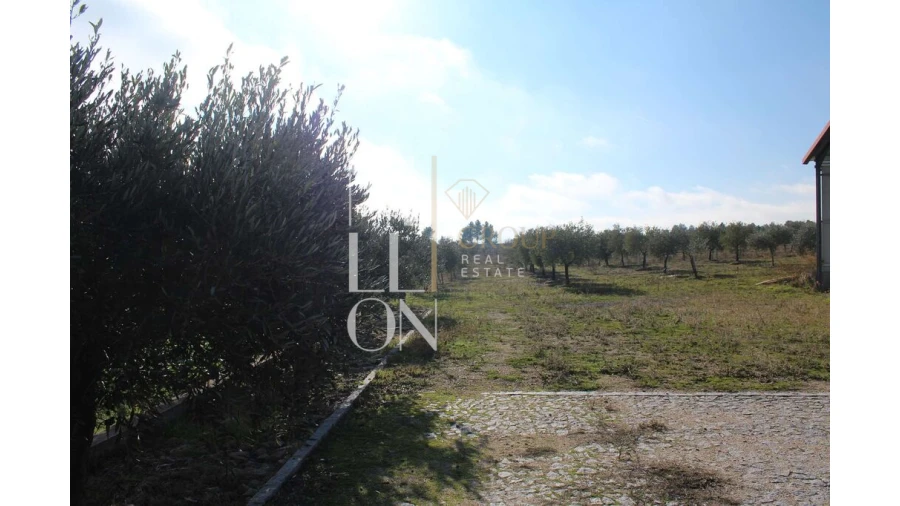 Moradia T5 para Venda em Barreira Foto 40