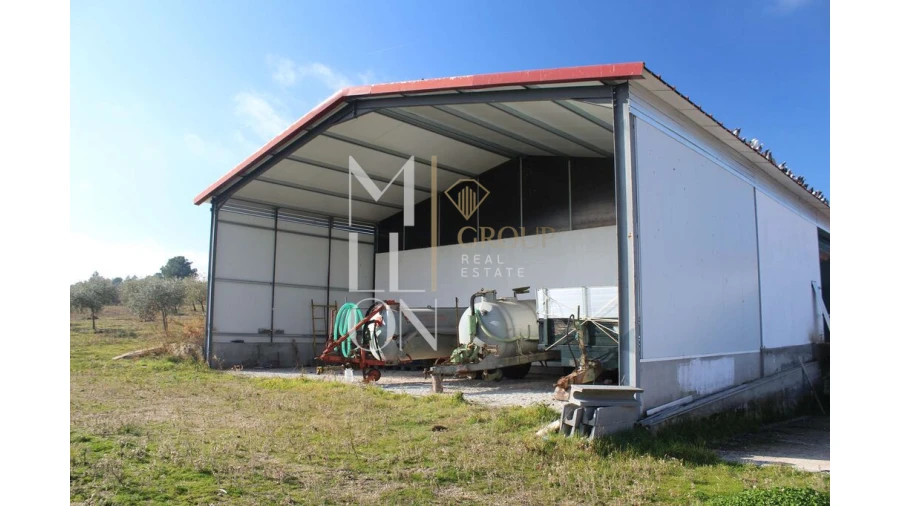 Moradia T5 para Venda em Barreira Foto 41