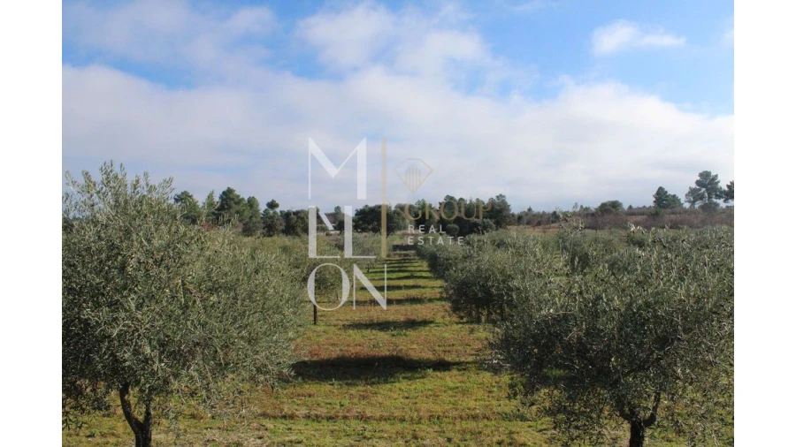 Moradia T5 para Venda em Barreira Foto 53