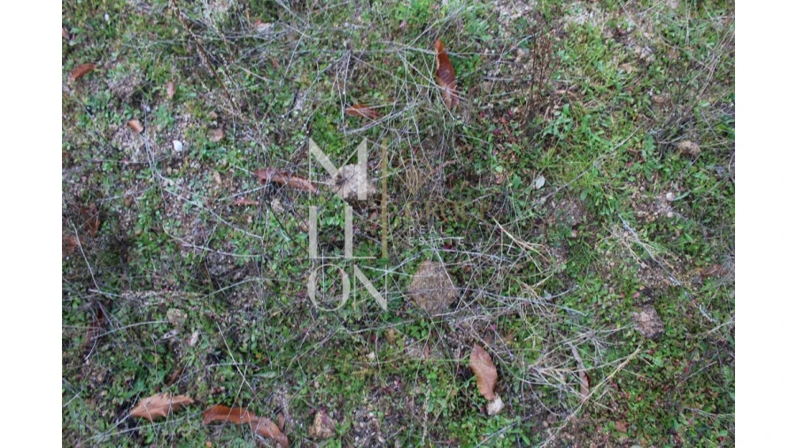 Moradia T5 para Venda em Barreira Foto 30