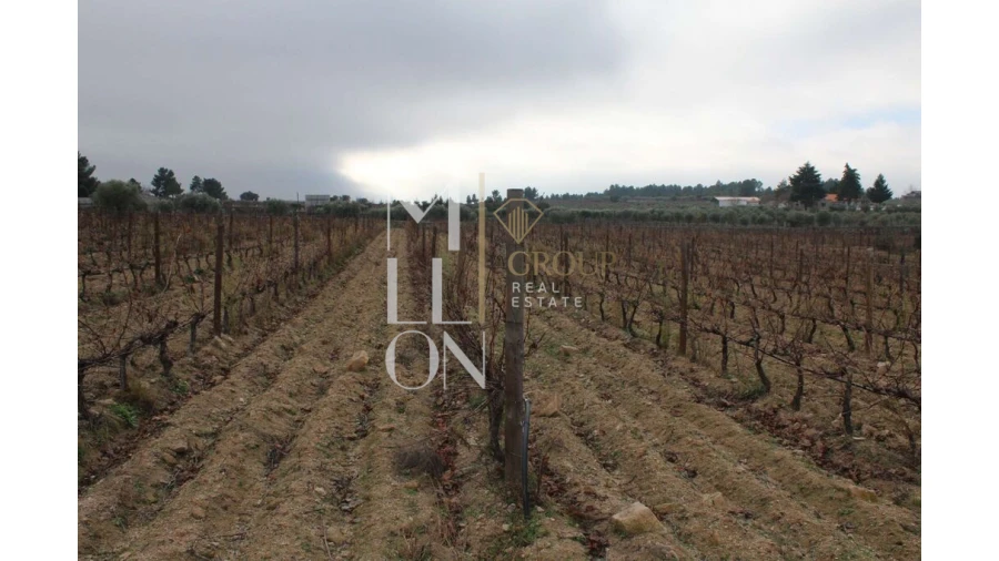 Moradia T5 para Venda em Barreira Foto 20