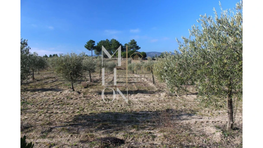 Moradia T5 para Venda em Barreira Foto 46