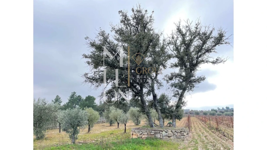 Moradia T5 para Venda em Barreira Foto 10