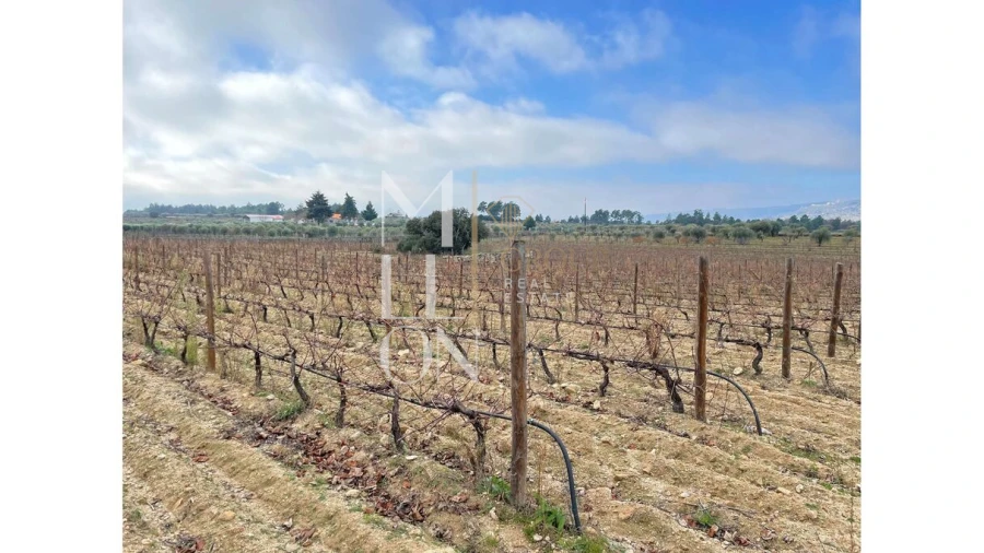 Moradia T5 para Venda em Barreira Foto 7