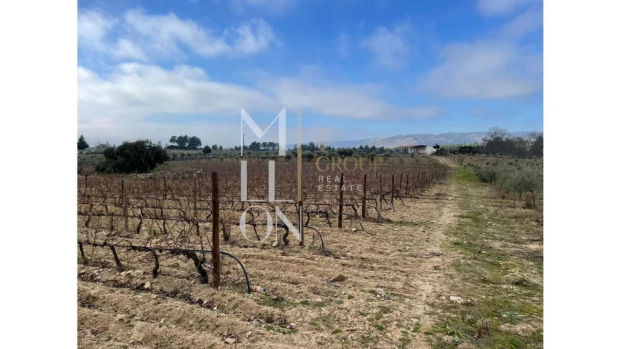 Moradia T5 para Venda em Barreira Foto 9