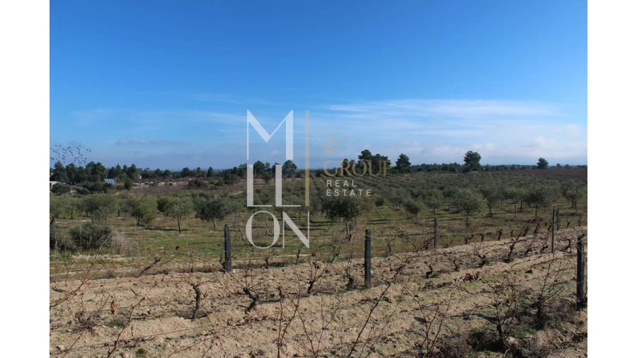 Moradia T5 para Venda em Barreira Foto 76