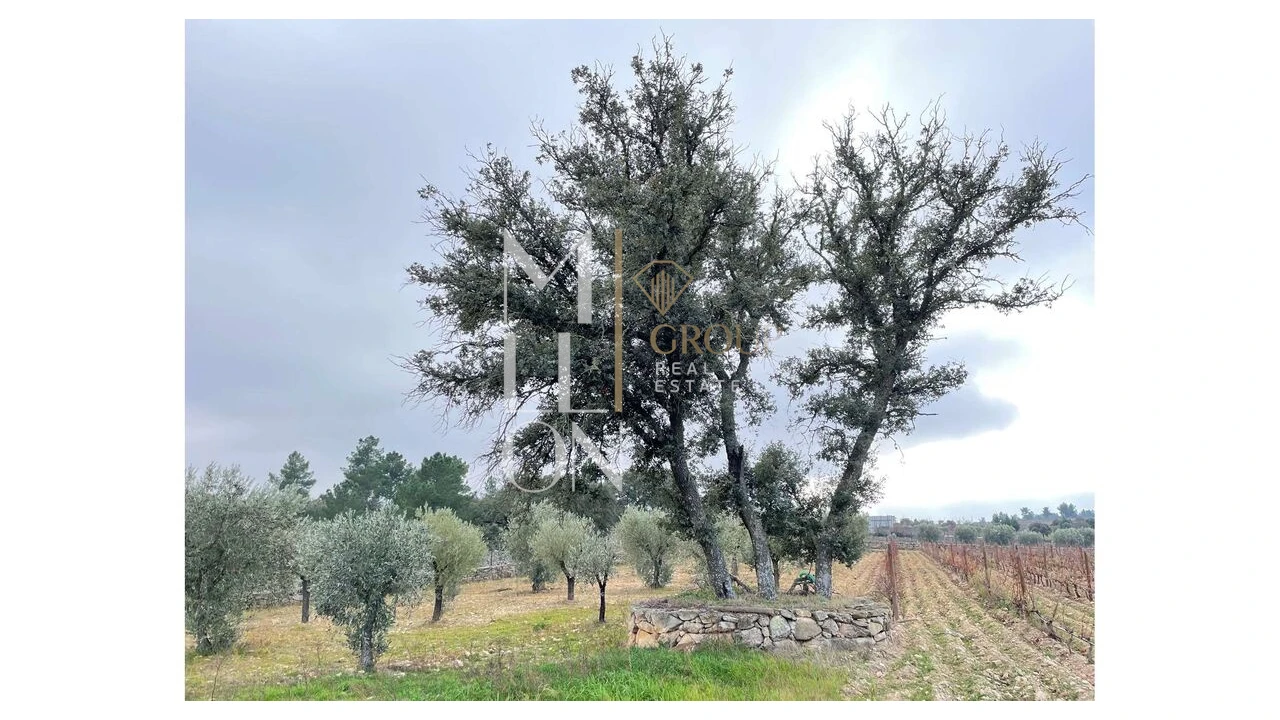 Moradia T5 para Venda em Barreira Foto 10