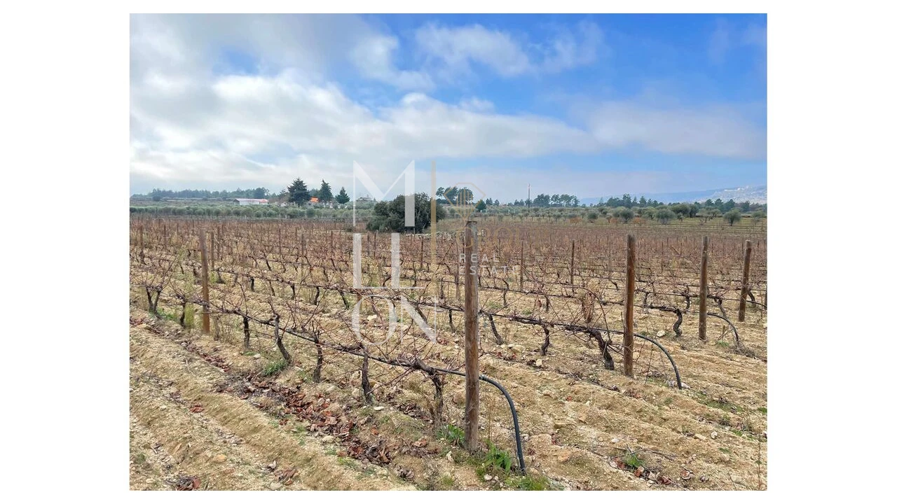 Moradia T5 para Venda em Barreira Foto 7