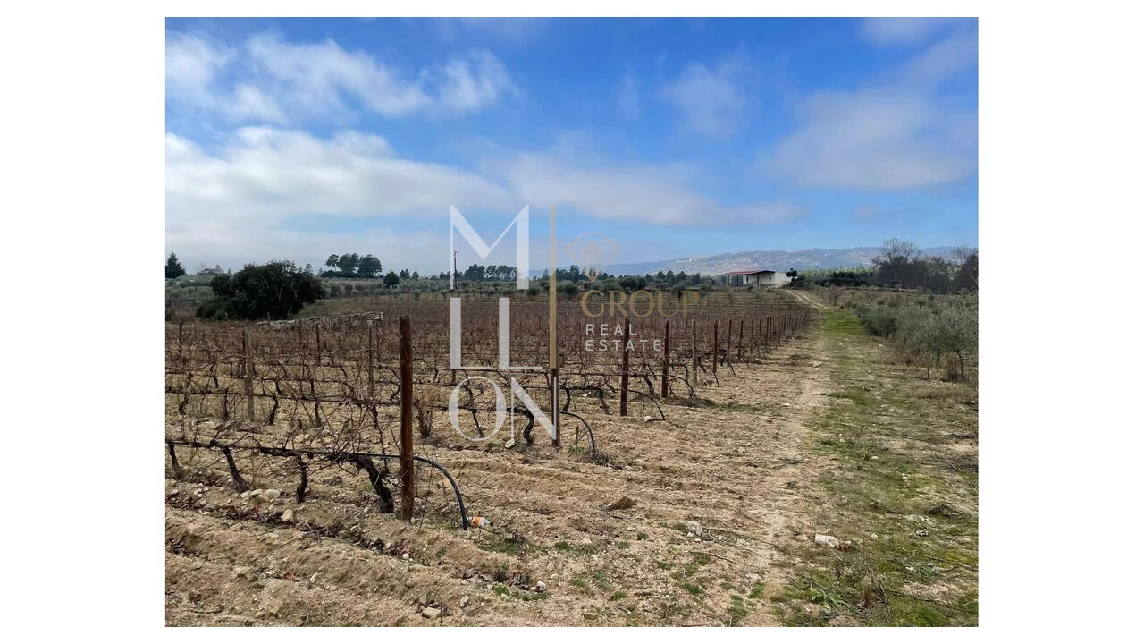 Moradia T5 para Venda em Barreira Foto 9