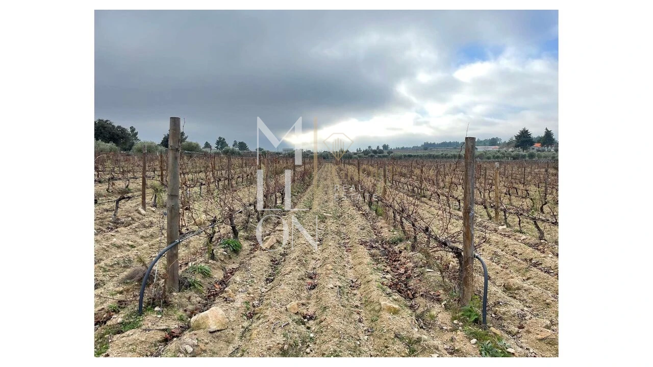 Moradia T5 para Venda em Barreira Foto 8