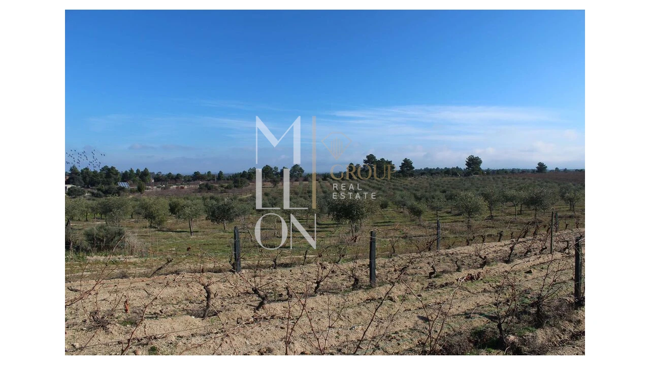 Moradia T5 para Venda em Barreira Foto 76