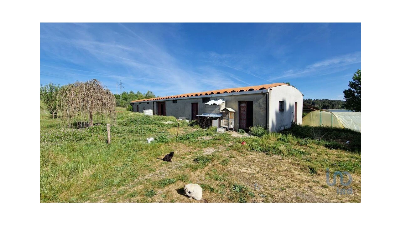 Moradia T4 para Venda em Penso e Freixinho Foto 5