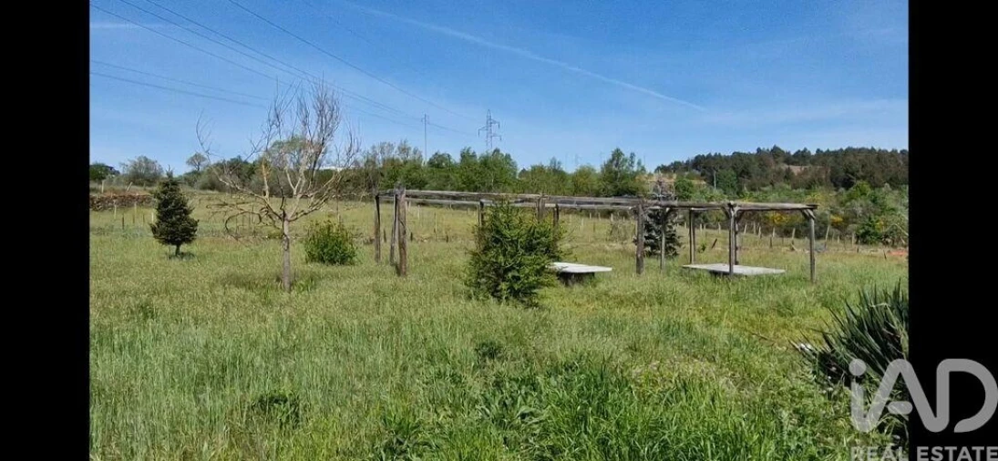 Moradia T4 para Venda em Penso e Freixinho Foto 30