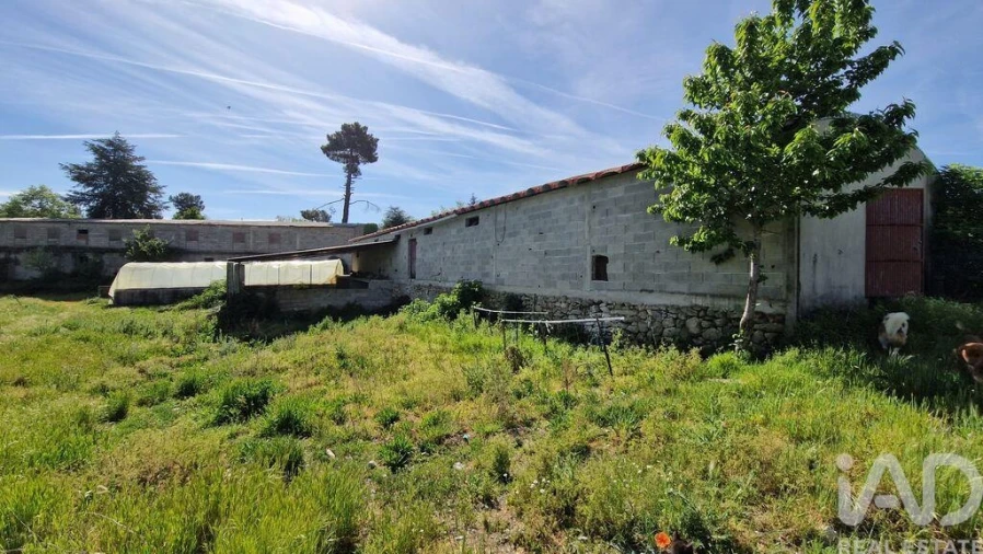 Moradia T4 para Venda em Penso e Freixinho Foto 25