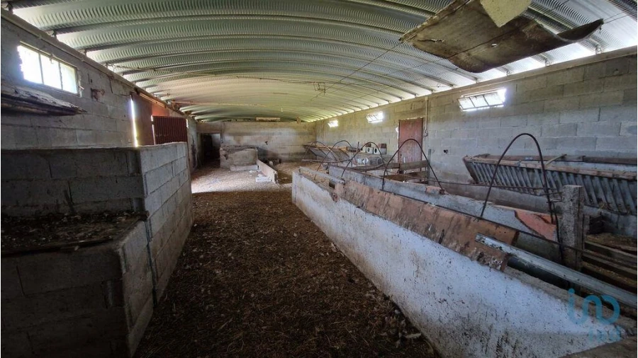 Moradia T4 para Venda em Penso e Freixinho Foto 6