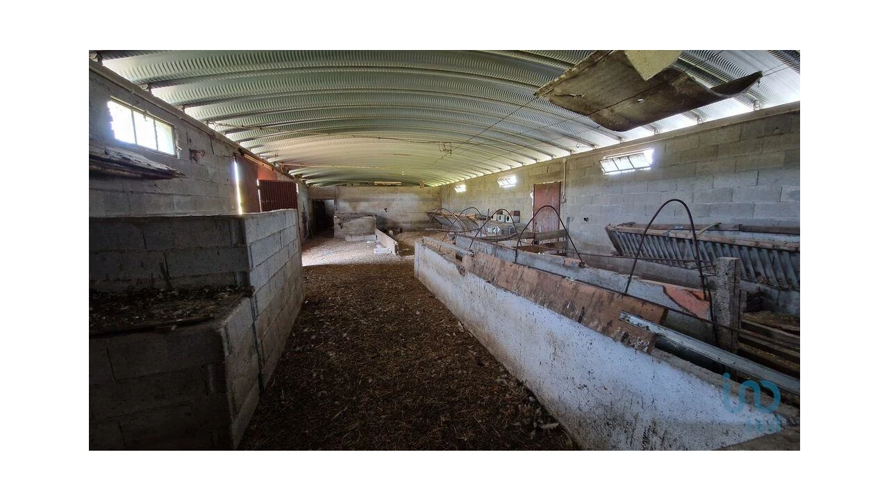 Moradia T4 para Venda em Penso e Freixinho Foto 6