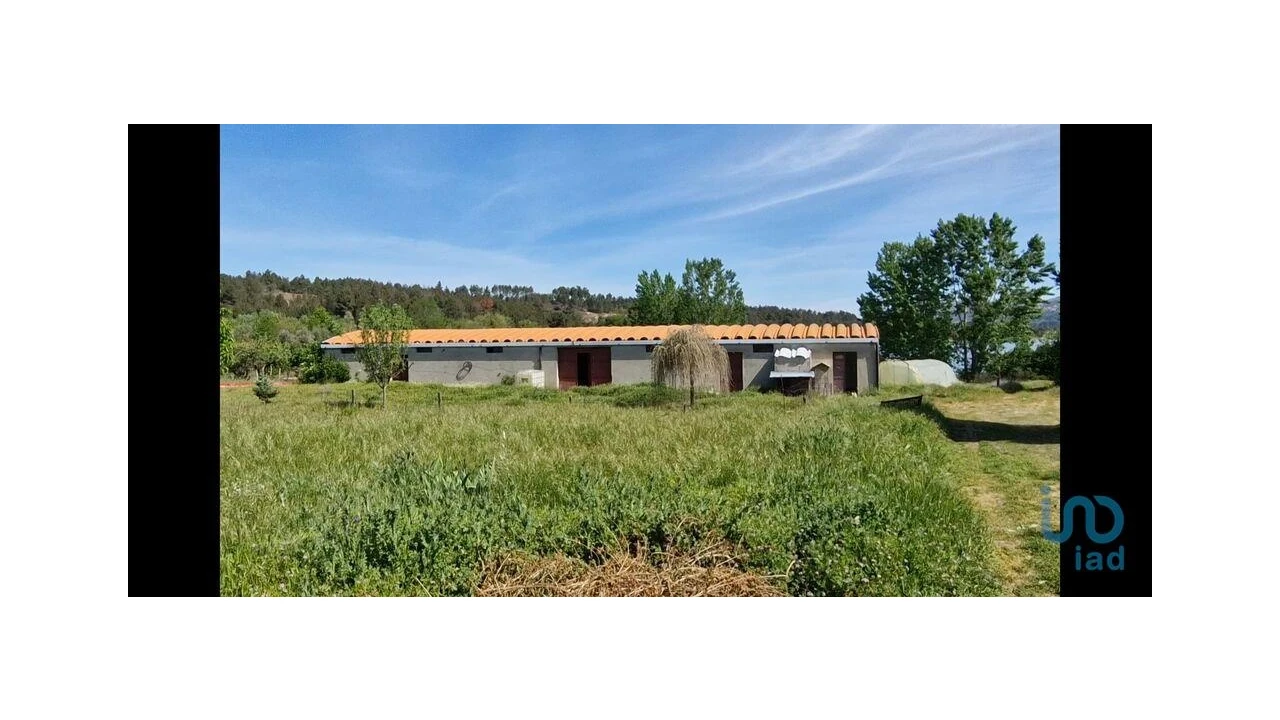 Moradia T4 para Venda em Penso e Freixinho Foto 7