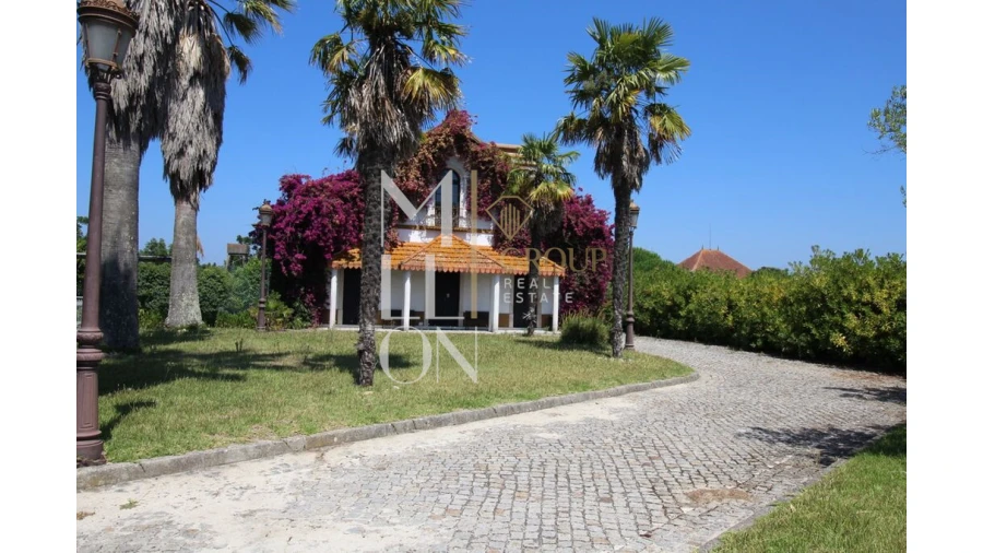 Moradia T4 para Venda em Bustos, Troviscal e Mamarrosa Foto 4