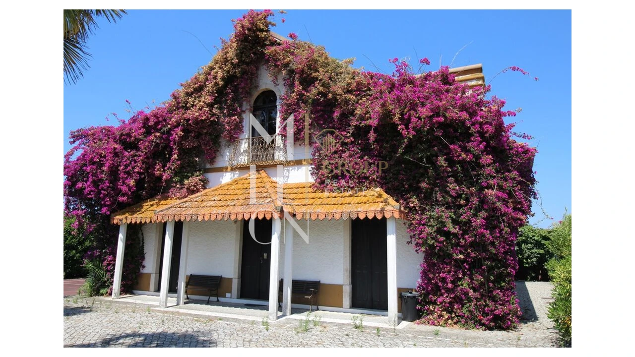 Moradia T4 para Venda em Bustos, Troviscal e Mamarrosa Foto 3