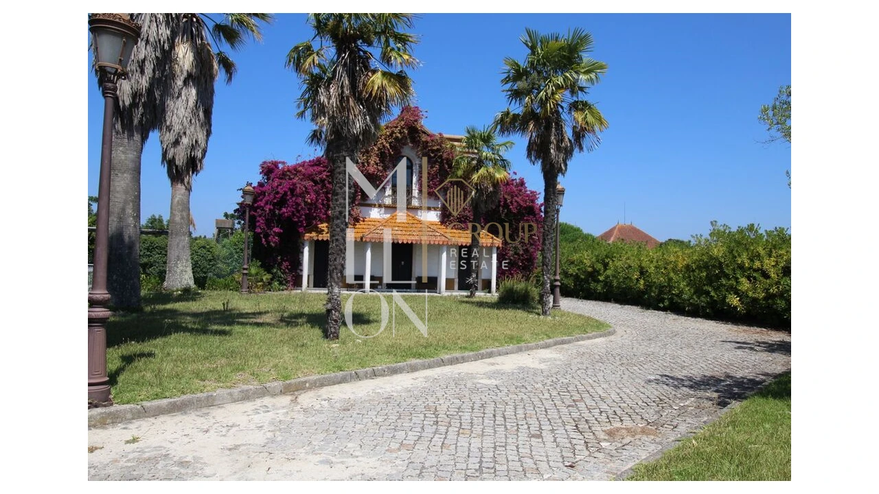 Moradia T4 para Venda em Bustos, Troviscal e Mamarrosa Foto 4