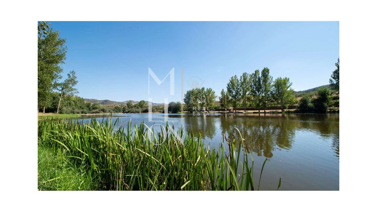 Moradia T15 para Venda em Frechas Foto 25