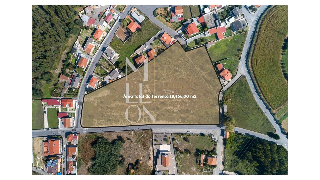 Terreno para Venda em Oliveira do Douro Foto 2