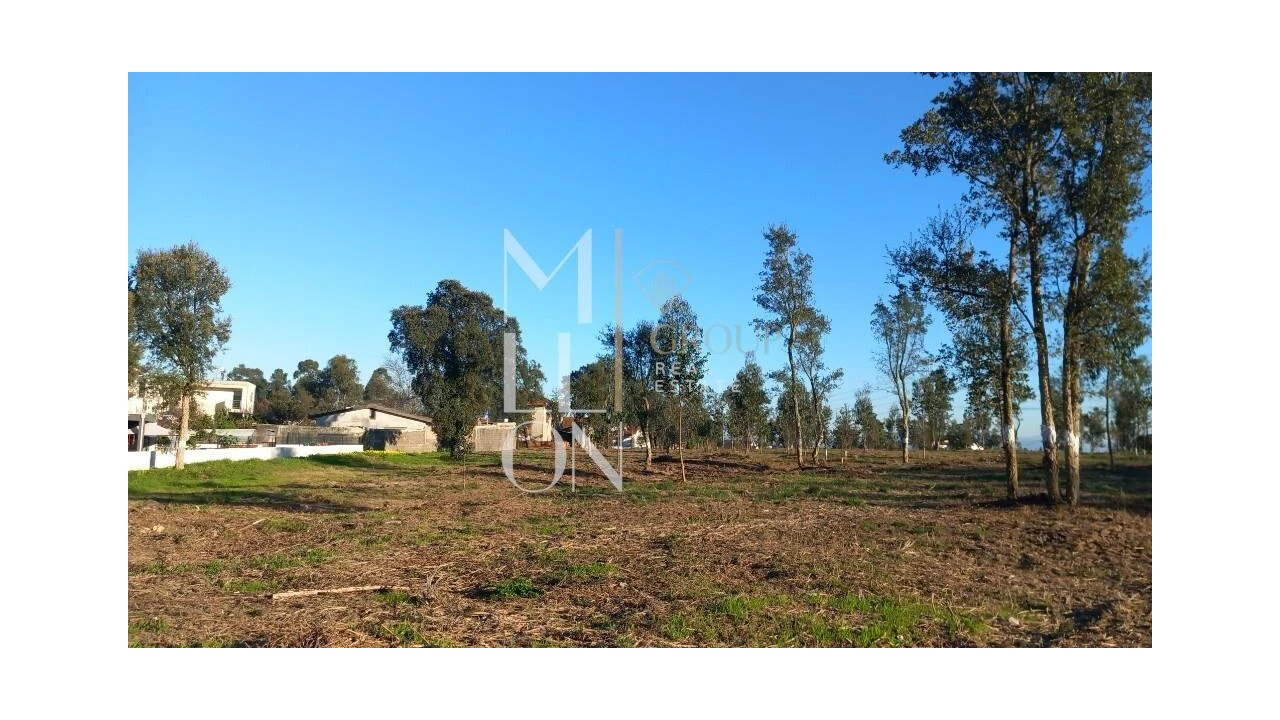 Terreno para Venda em Oliveira do Douro Foto 16