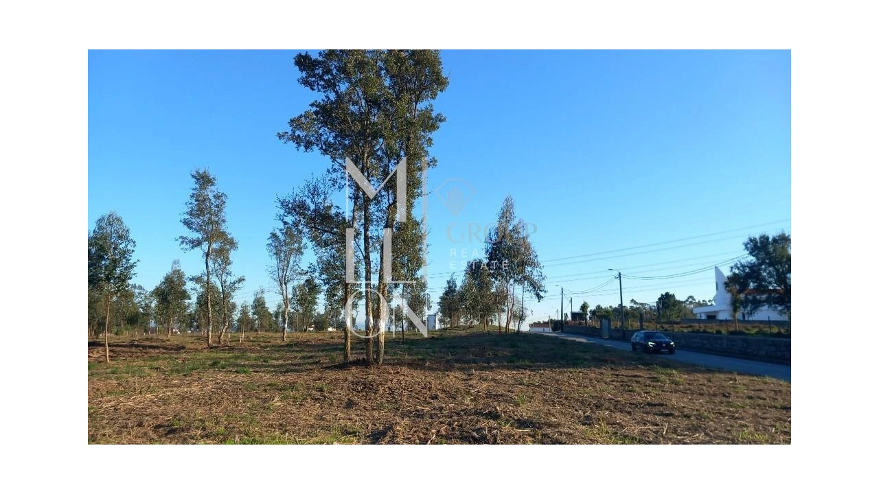 Terreno para Venda em Oliveira do Douro Foto 15