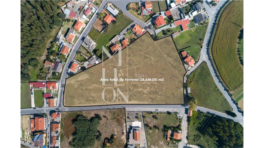 Terreno para Venda em Oliveira do Douro Foto 2