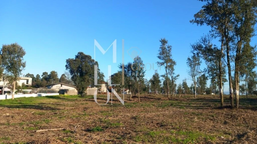 Terreno para Venda em Oliveira do Douro Foto 16
