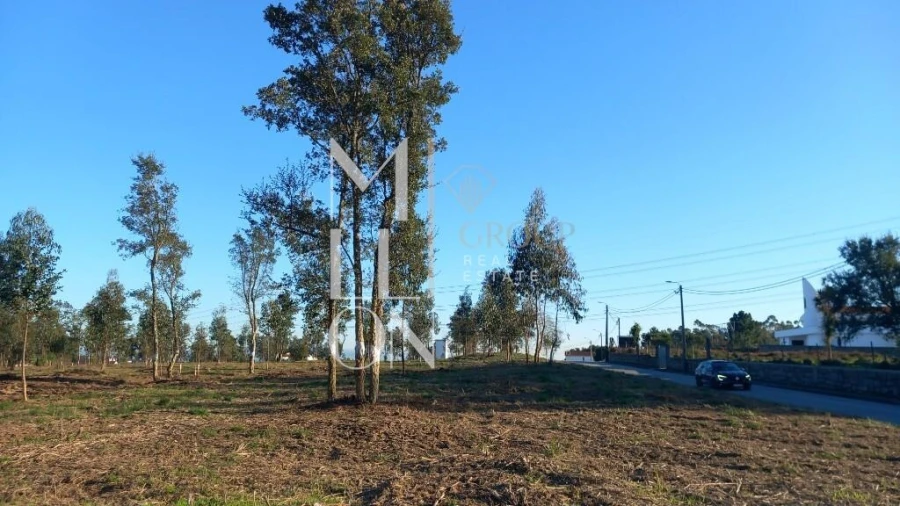 Terreno para Venda em Oliveira do Douro Foto 15